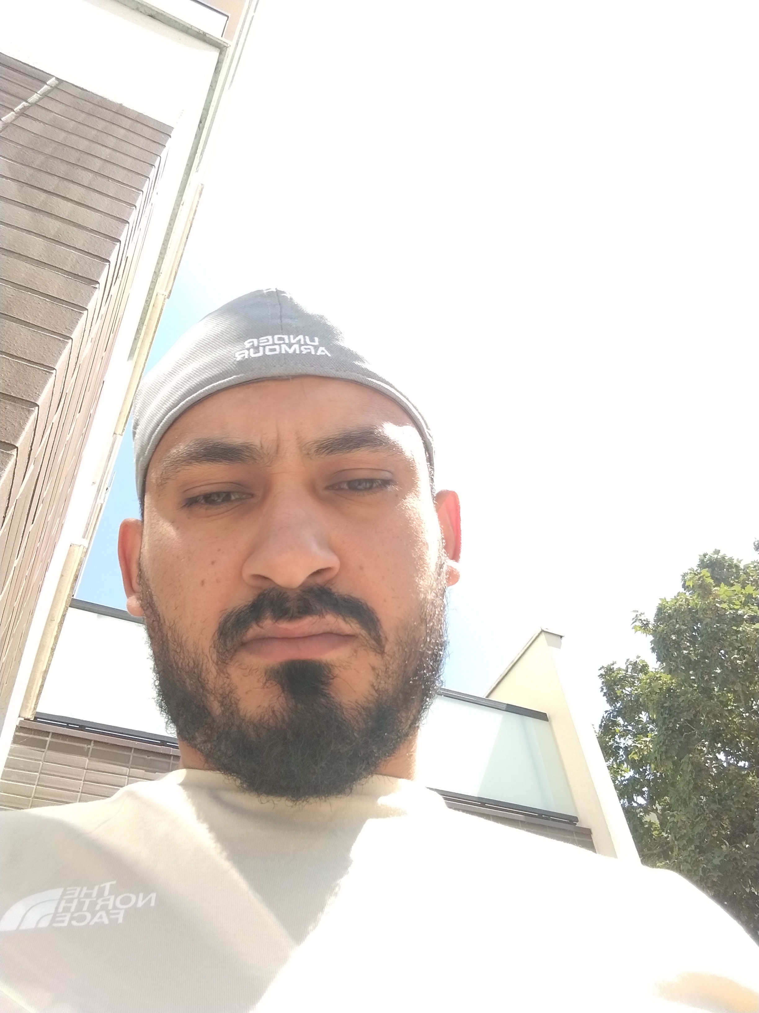 Taha